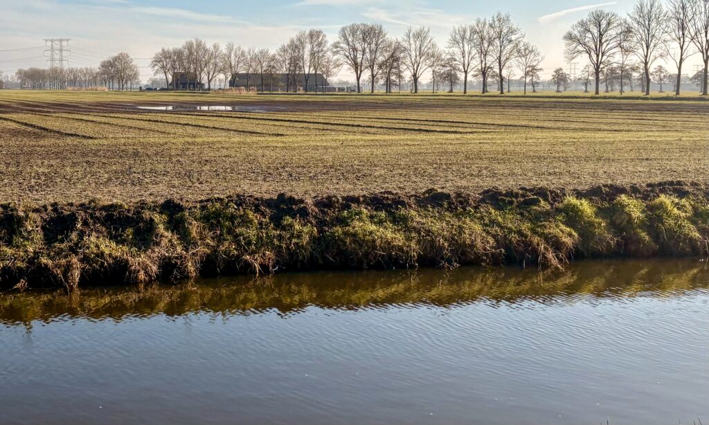 Boer & Spade 3dbec549 9b10 4606 909e c544323c5b32 1 201 a